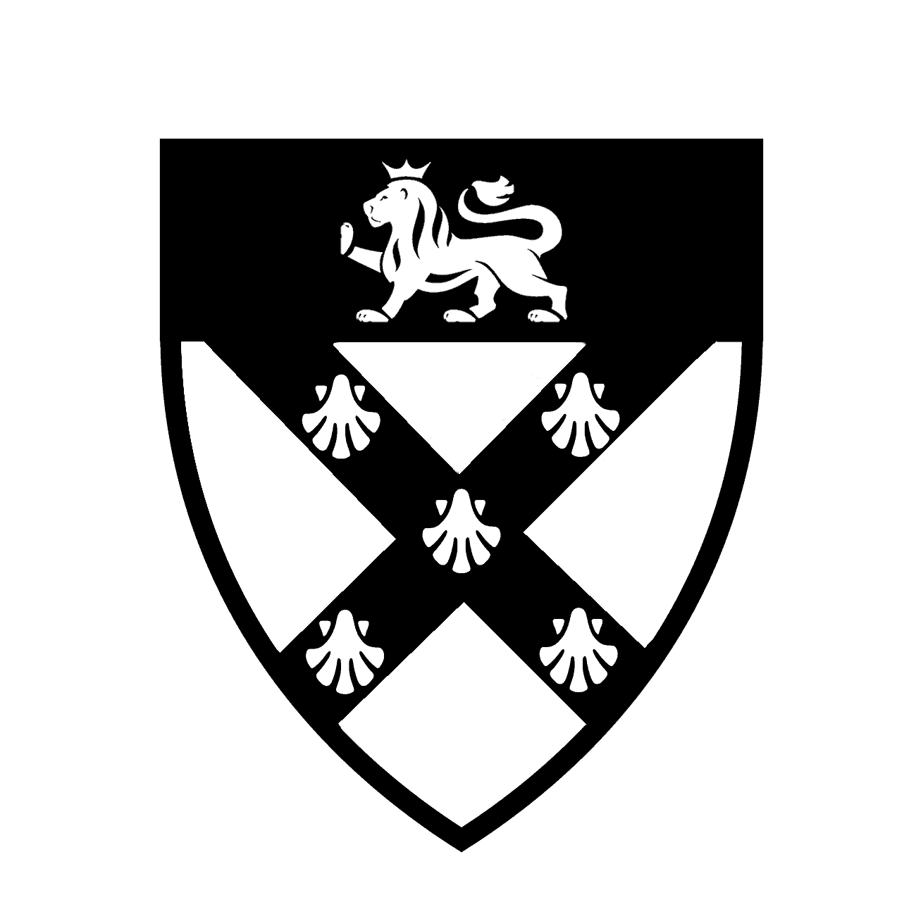 December 2021 Aly got a mini MBA from IBM Germany